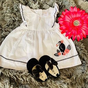 Baby girl dress and matching shoes